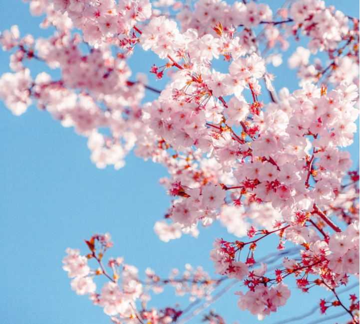 Lorem ipsum dolor sit amet, consetetur sadipscing elitr, sed diam nonumy